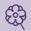 Majblomman icon