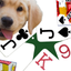 K9 Euchre icon