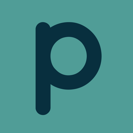 Ping Money app icon