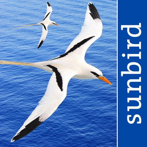 All Birds PR -> Antigua app icon