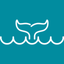 Dolphin Count icon