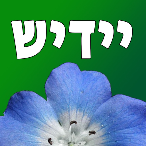 Yiddish Quiz Now app icon