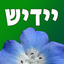 Yiddish Quiz Now icon