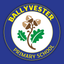Ballyvester PS icon