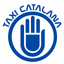 Taxi Cat icon
