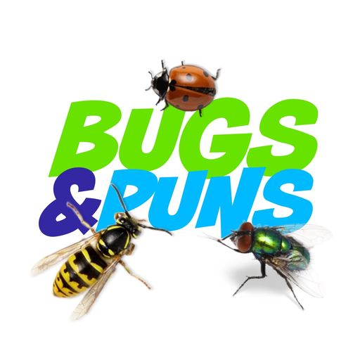 Bugs & Puns app icon