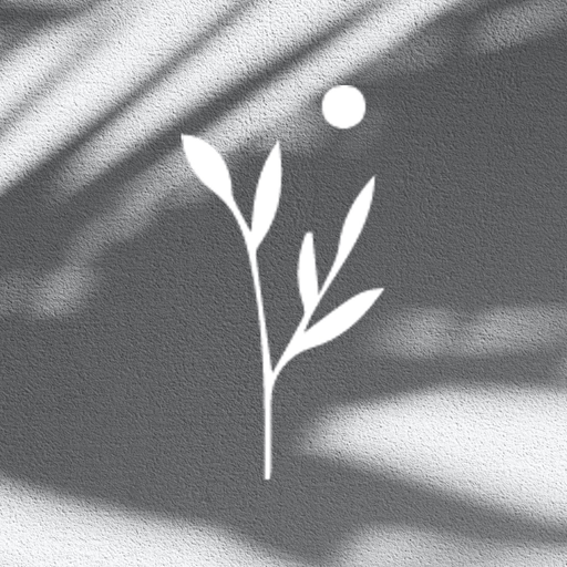 Christ Culture Church CLE app icon