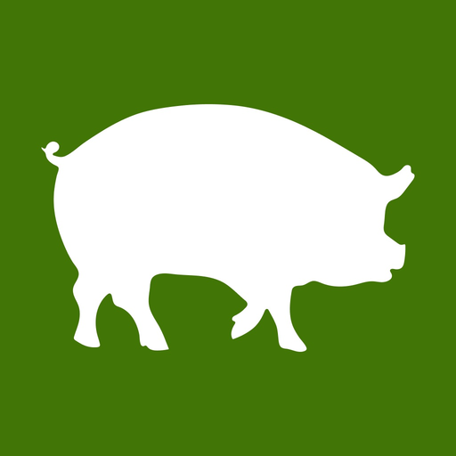 Budge Budgets and Spending app icon