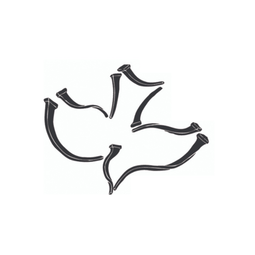 CC Minot-KFLK 'The Flock' app icon
