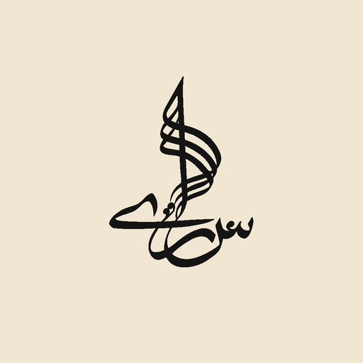 Saarey Music app icon