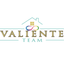 Valiente Team icon