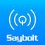 Saybolt LiveQ icon