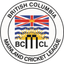 BCM Cricket League icon