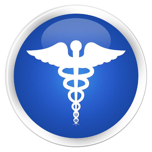 Vision Link II Mobile Voice app icon