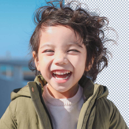 Auto Gray Remove Background app icon