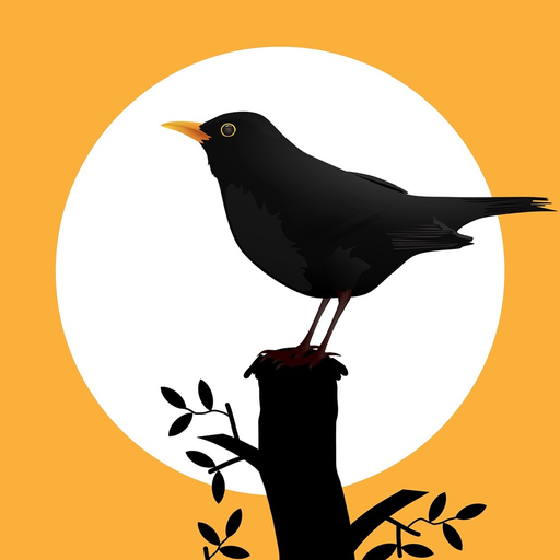 True Solar Time app icon