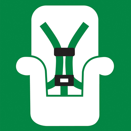 Car Seat Check Form app icon