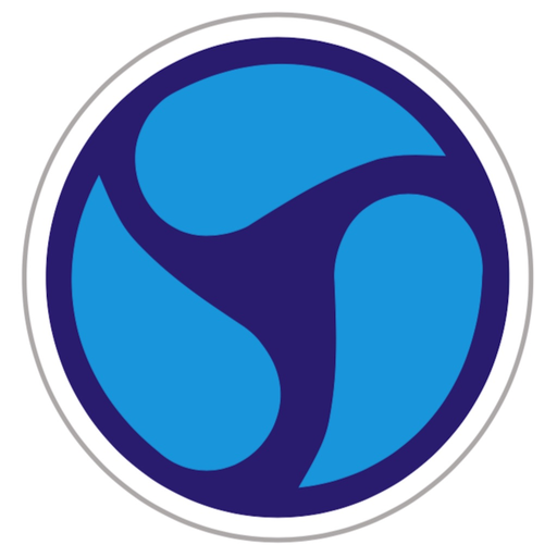 VEEMS app icon