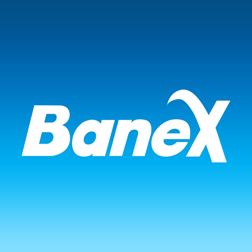 Banex DVR app icon