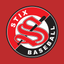 Stix Baseball Club icon