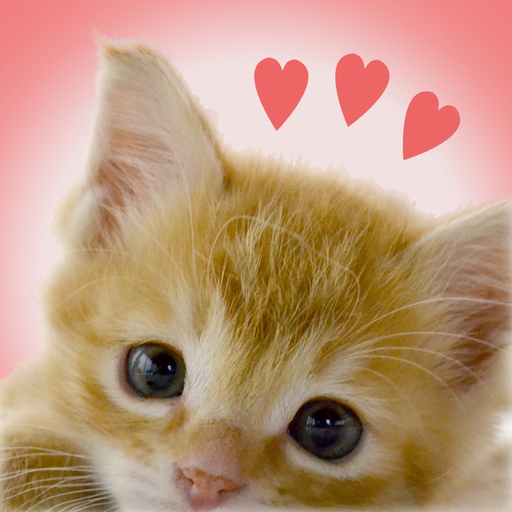 My Kittens app icon