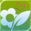 My garden year icon