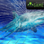 Shark Attack Video Wallpaper icon