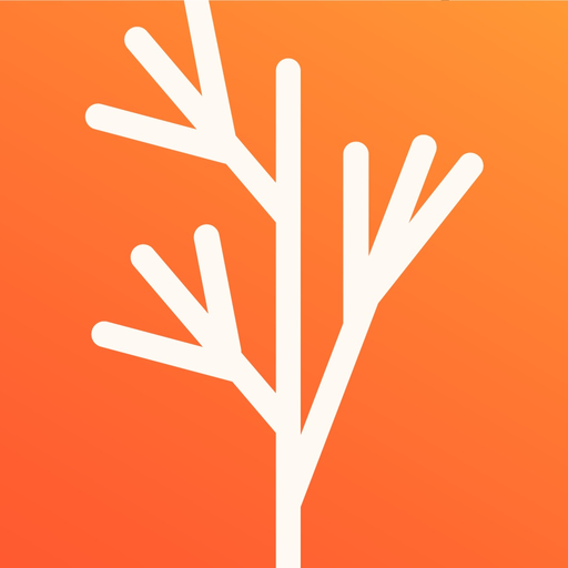 Dill app icon