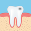 Dental Anatomy Quizzes icon