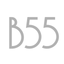 B55 icon