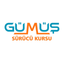 Gümüş Sürücü Kursu icon