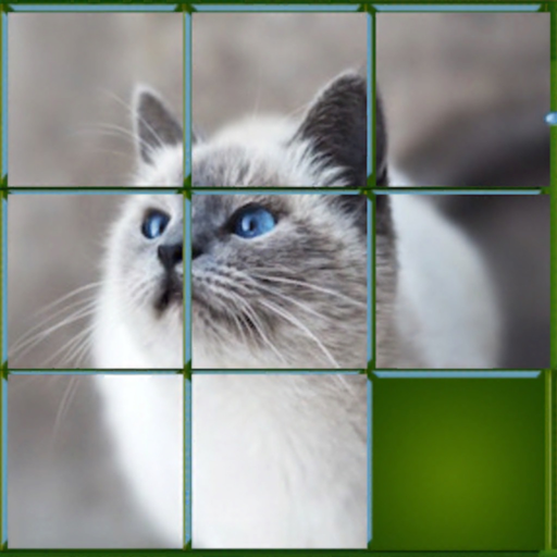 Magic Puzzle Animal app icon