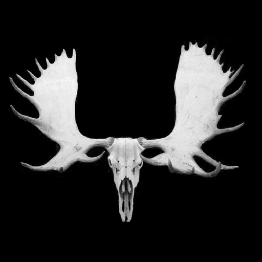 Moose Hunter app icon
