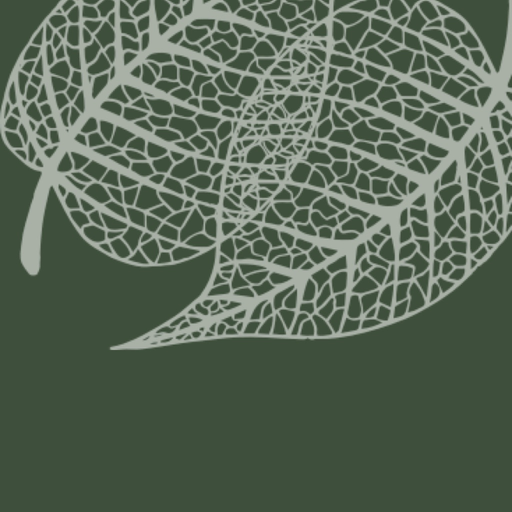 Dharma Seed Player app icon