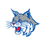Beecher City CUSD #20, IL icon