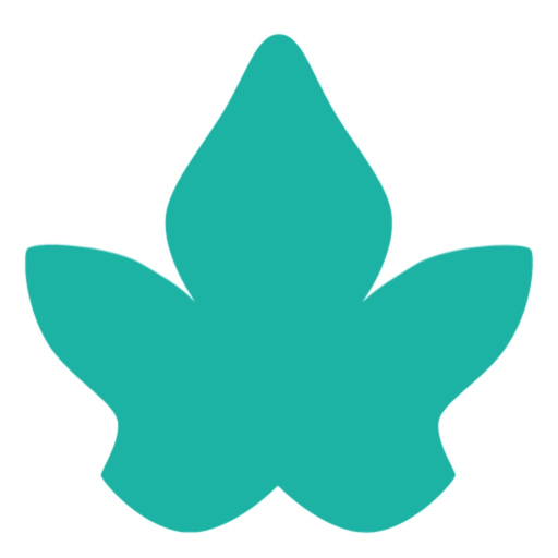 Your Book of Memories app icon