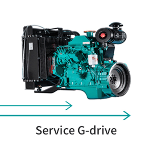 Service G-drive app icon