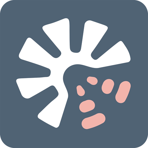Studium Smart app icon