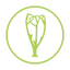 MyEquilibria icon