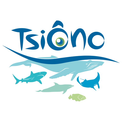 TsiÔno app icon