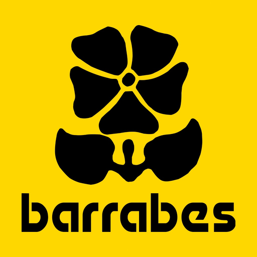 Barrabes Ski & Mountain app icon