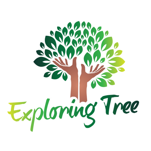 Exploring Tree app icon