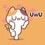 Meong the Meme Cat icon