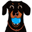 CrusoeMoji - Dachshund sticker icon