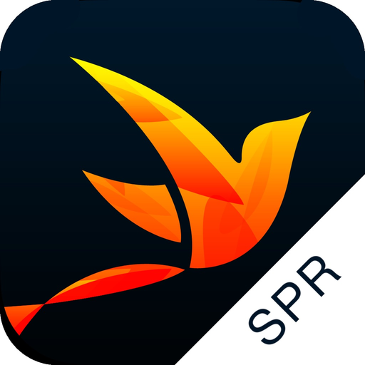Recovery Path Sponsors+Mentors app icon