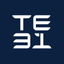 TE31 icon