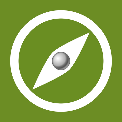 Nickel Navigator app icon