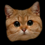 All Cats Stickers icon