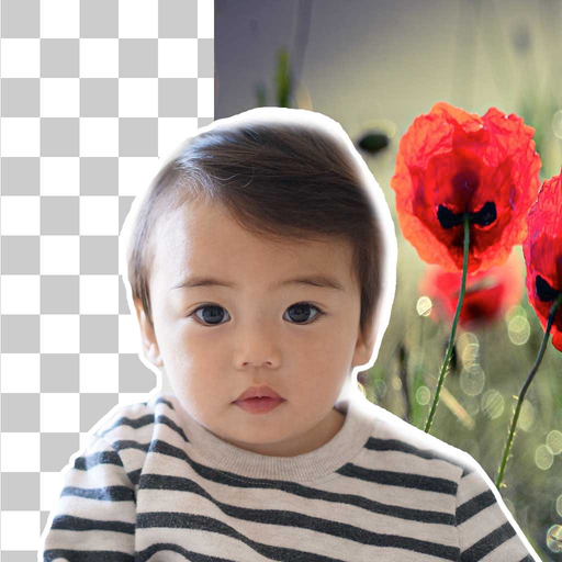 Background Remover & Changer app icon