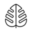 Monstera - Plant guide icon